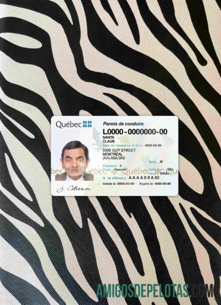 Canadá Quebec DL fotovisual frontal exemplo real